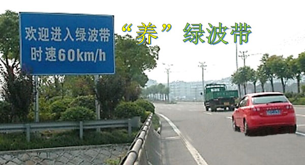 图1  “养”绿波带