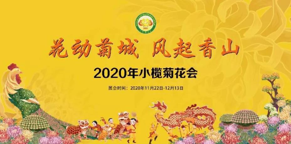 2020小榄菊花会